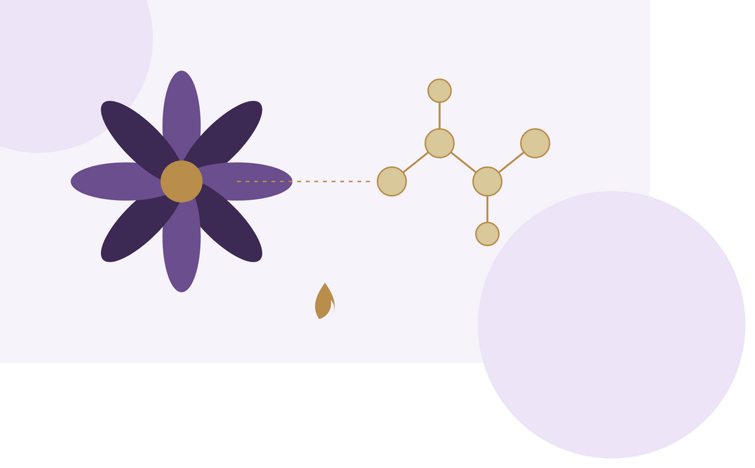 The New Era of Metabolic Health: Balancing GLP-1 Innovations and Ayurvedic Principles