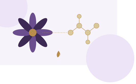 The New Era of Metabolic Health: Balancing GLP-1 Innovations and Ayurvedic Principles