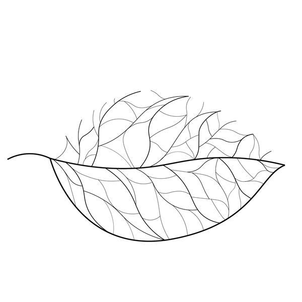 Surrasa Skincare